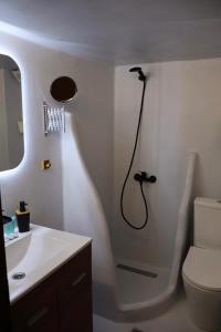 a bathroom with a shower with a toilet and a sink at Sarizas Apartments in Siviri +10 photos