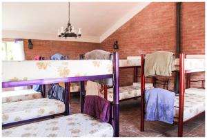 un grupo de literas en una habitación en El Camino Hostel en Mina Clavero