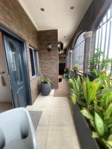 a hallway with plants and a blue door at La Bienveillance in Brazzaville