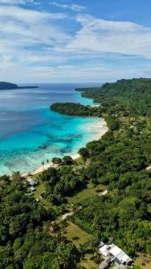 an aerial view of a beach and the ocean at Lonnoc ocean view beach bungalows in Hog Harbour