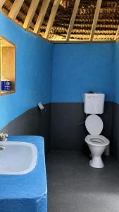 a blue bathroom with a toilet and a bath tub at Lonnoc ocean view beach bungalows in Hog Harbour