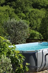 a swimming pool in the middle of a forest at Guest House Mare in Bar