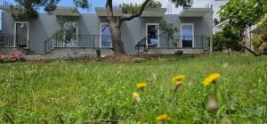 a house with a field of grass and flowers at Paolo's Apartments in Shëngjin