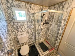 ein Badezimmer mit Dusche und Toilette in der Unterkunft Cabana IBU in Bumbueşti