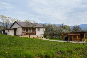 ein Haus am Hang mit einem Hof in der Unterkunft Cabana IBU in Bumbueşti