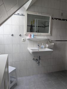 a bathroom with a sink and a mirror at Kulumheide in Löwenstedt +6 photos