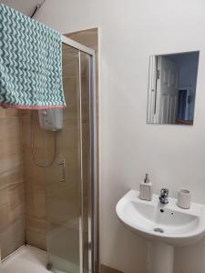 a bathroom with a sink and a shower at McGrath's Bar & Accommodation Causeway in Causeway +41 photos