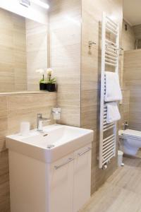 a bathroom with a sink and a mirror and a toilet at Penzion Rališka in Horní Bečva +43 photos
