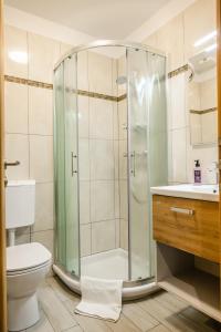 a bathroom with a shower and a toilet at Apartmaji Tinta in Kanal