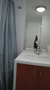 a bathroom with a shower curtain and a sink at Departamento Centro Concepción in Concepción