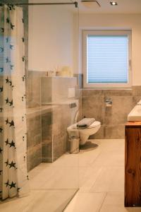 a bathroom with a toilet and a glass shower at Kunstwerk AppARTement in Sankt Michael im Lungau +41 photos