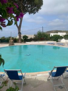 a large swimming pool with two chairs and a tree at Villa 4 Rose in Sant'Angelo D'Ischia