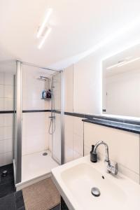 a bathroom with a shower and a sink at Eifel Quartier im Herzen von Mendig in Mendig +19 photos