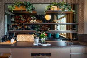 a kitchen with a counter with plants on the shelves at WELTRAD Parkhotel am Fluss in Schönebeck