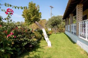 a garden with a tree limb leaning against a house at Villa Marietta in Agios Gordios