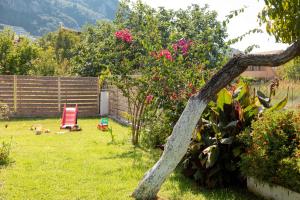 a tree branch leaning over a yard with a garden at Villa Marietta in Agios Gordios