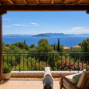a dog sitting on a balcony looking out at the ocean at Aegina Breeze House in Egina