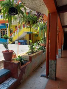 a building with a bunch of potted plants at Hotel Casa Ramos in Panajachel