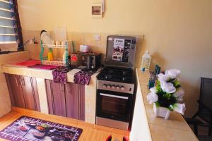 a kitchen with a stove and a counter top at The Nest Apartment Darad in Ukunda Airport