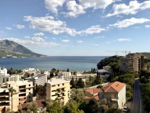 a view of the city and the ocean at Boreti Apartment in Budva