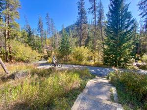 a person riding a bike on a dirt road at Pines 2167 by SummitCove Lodging in Colorado in Keystone +44 photos