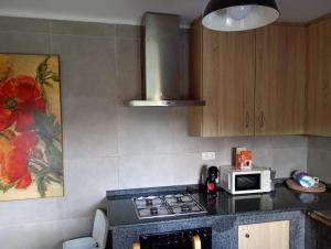 a kitchen with a stove top oven next to a microwave at Casa rústica busto in Armentera
