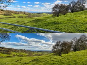 two pictures of a green field with trees on it at Orchard Pod in Oswestry