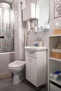 a bathroom with a toilet and a sink and a mirror at Ana Central Studio in Smederevo