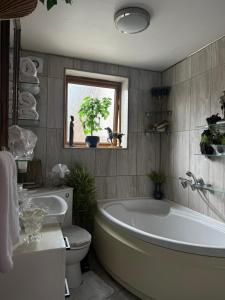 a bathroom with a tub and a toilet and a window at Studio A - Newly renovated 2 bed studio in Nottingham