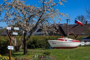 a boat sitting on the grass next to a tree at Chata 131 in Česká Čermná