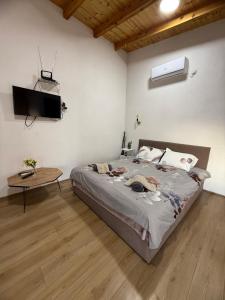 a bedroom with a bed and a tv on the wall at Villa & Apartments Cityview Ohrid in Ohrid