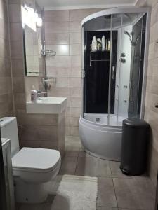 a bathroom with a toilet and a shower and a sink at Ioana Home in Râmnicu Vâlcea