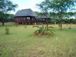 a house in the middle of a field with a palm tree at Chobe Lesoma Chalets Hotel in Lesoma