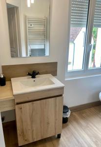 a bathroom with a sink and a mirror at Jasmin in Saint-Aignan
