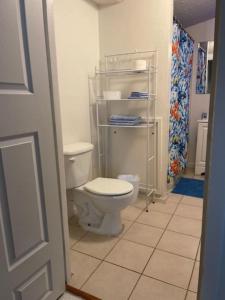 a bathroom with a white toilet in a room at The Van Zant House in Jacksonville +33 photos