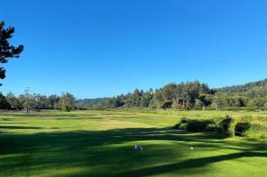 a view of a golf course with trees in the background at 2nd Tee at Neskowin Village in Neskowin