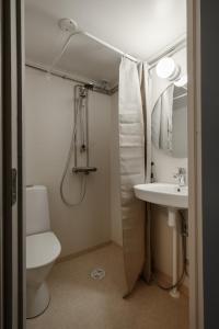 a bathroom with a shower and a toilet and a sink at Gården in Östersolf