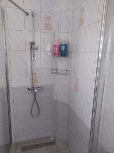 a bathroom with a shower with a shower head at Pagoda Vendégház in Hajdúdorog +16 photos