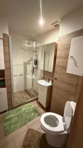 a bathroom with a shower and a toilet and a sink at Rondel in Žilina +6 photos