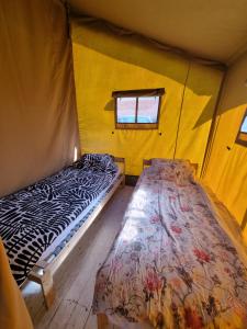 a bedroom with two beds in a tent at Safaritent Aesgestate in Gauw