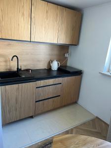 a kitchen with a sink and wooden cabinets at Emilówka in Ostrów Wielkopolski