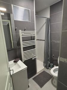 a bathroom with a shower and a sink and a toilet at Studio tout équipé centre Erbalunga in Brando +15 photos