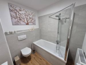 a bathroom with a shower and a tub and a toilet at Apartement Elsterblick in Gera