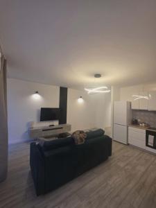 a living room with a black couch and a tv at Apartament Anny 1 in Grodzisk Mazowiecki