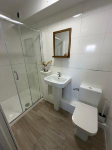 a bathroom with a toilet and a sink and a shower at One bedroom flat in Pevensey Bay in Pevensey