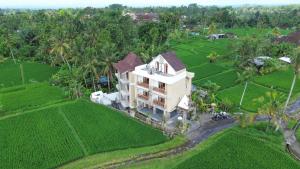 an aerial view of a house in a rice field at The Alugara Suite & Spa in Tegalalang