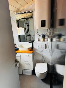 a bathroom with a toilet and a sink and a mirror at VRBNIK OLD CITY LOFT in Vrbnik +17 photos
