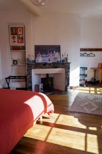 a living room with a fireplace and a tv at La Maison de Laulie in Bagnères-de-Bigorre