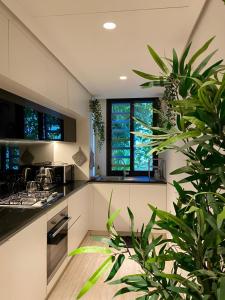 a kitchen with white cabinets and a potted plant at Ayla Oasis Luxury Chalets - Azure & Golf in Aqaba