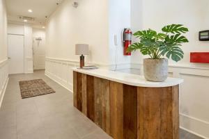 a kitchen with a counter with a potted plant on it at The Louie Hotel New Orleans, Belvilla District 6 Formerly Sonder in New Orleans